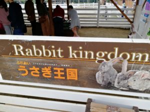 ウサギ　那須どうぶつ王国